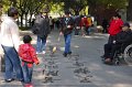 Beijing - China (37)